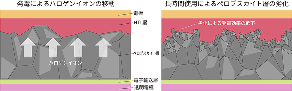一般的なペロブスカイト太陽電池の課題である耐久性について、発電によりハロゲンイオンが移動するイメージと、長時間使用によりペロブスカイト層が劣化するイメージを図式化した画像