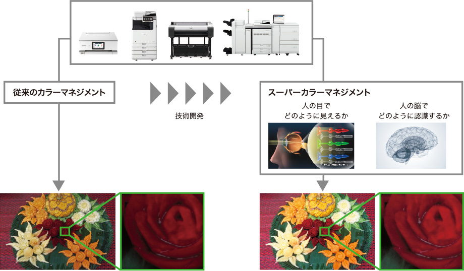 従来のカラーマネジメントとキヤノンのカラーマネジメントを比較している図