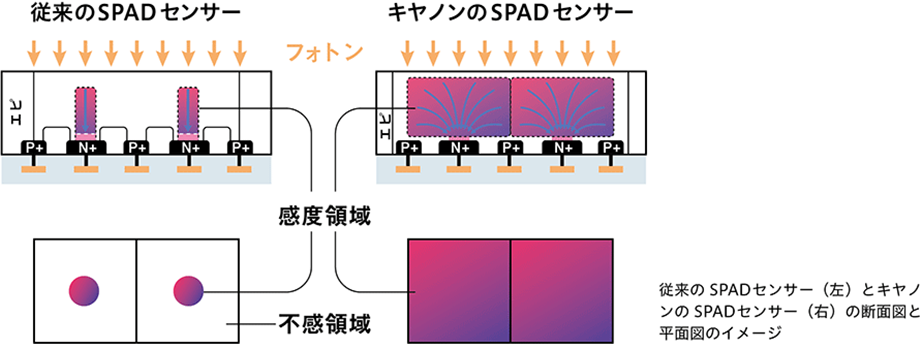 従来のSPADセンサーとキヤノンのSPADセンサーの断面図と平面図の違い