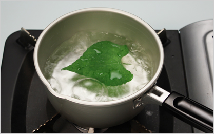 葉っぱをお湯で煮ている画像