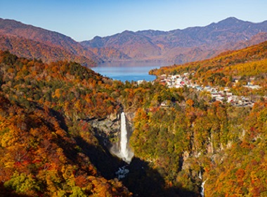 ホタルはなぜ光る キヤノンサイエンスラボ キッズ キヤノングローバル ホタルはなぜ光る キヤノンサイエンスラボ キッズ キヤノングローバル