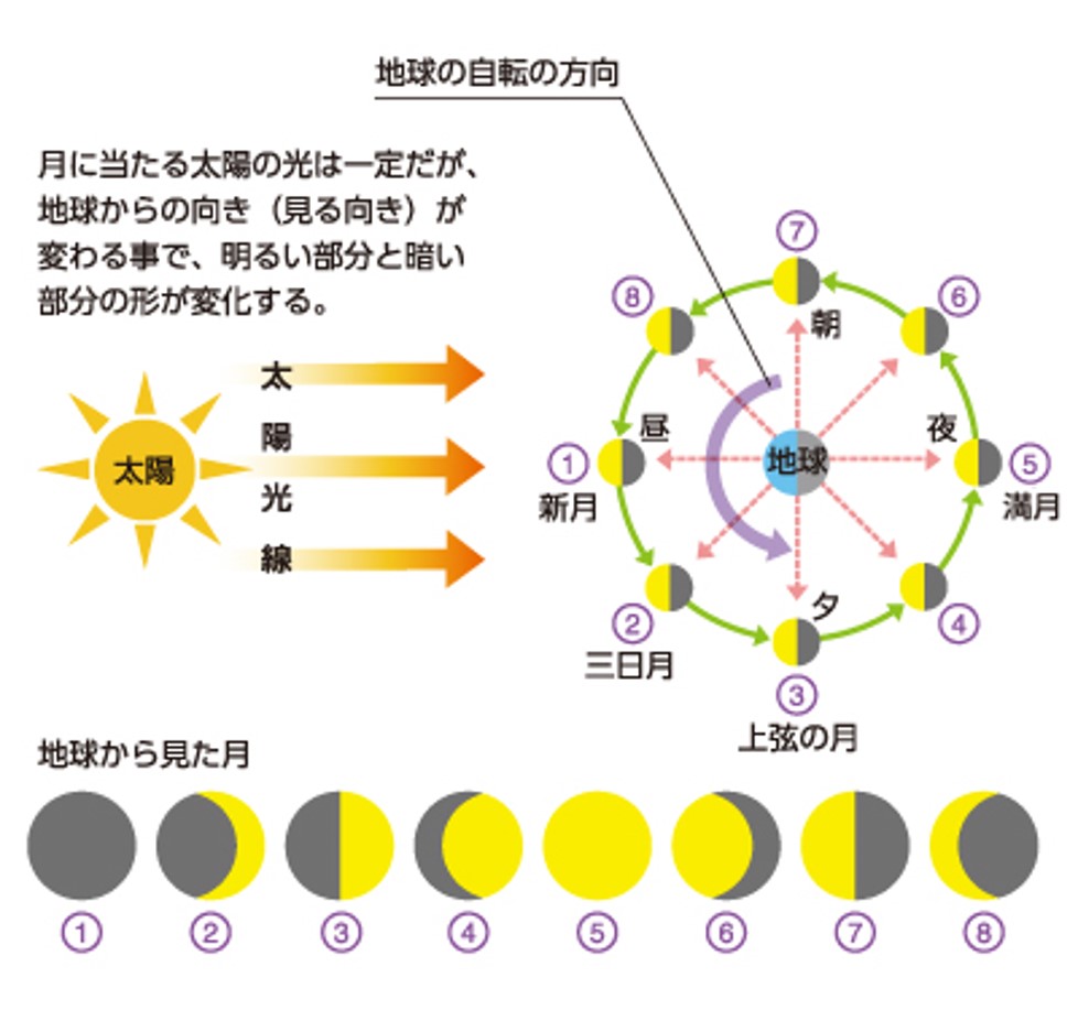 月の形の変化