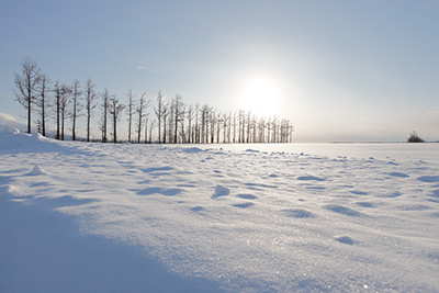 雪景色のイメージ写真