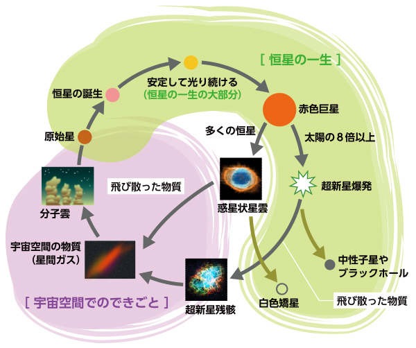 恒星の一生と物質の循環 