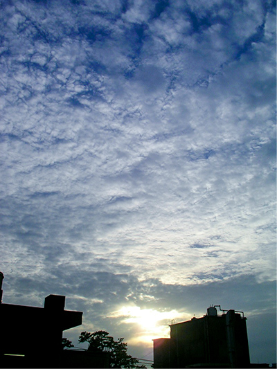 高積雲 出典：札幌管区気象台ホームページ