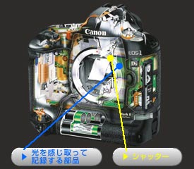 一眼レフカメラのスケルトン図