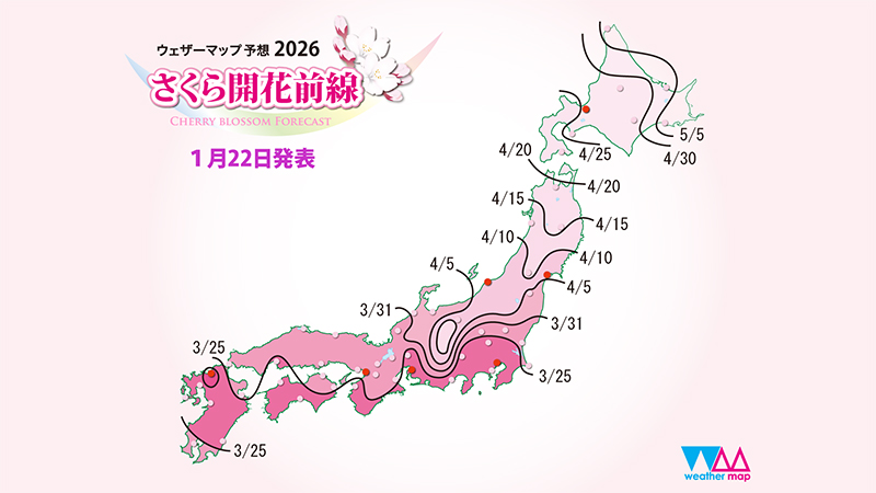 2026年の桜の開花前線図　2026年1月22日発表　画像提供：株式会社（かぶしきがいしゃ）ウェザーマップ
