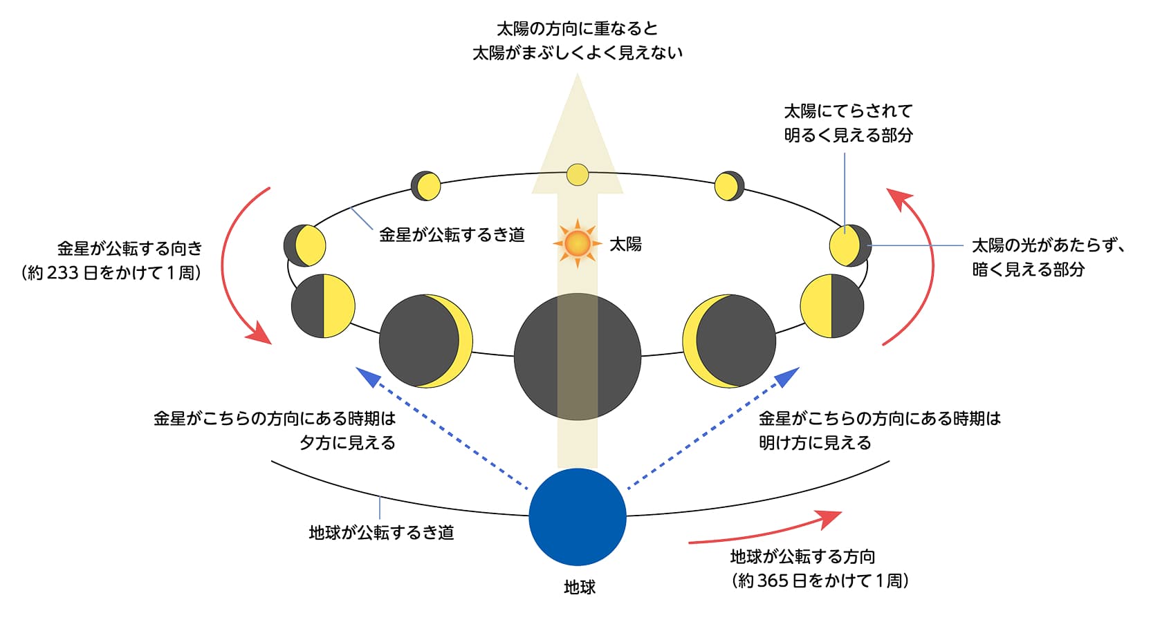 金星のき道と地球からの見え方