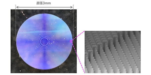 シート状のメタレンズ/メタレンズ表面に並ぶ円柱構造イメージ