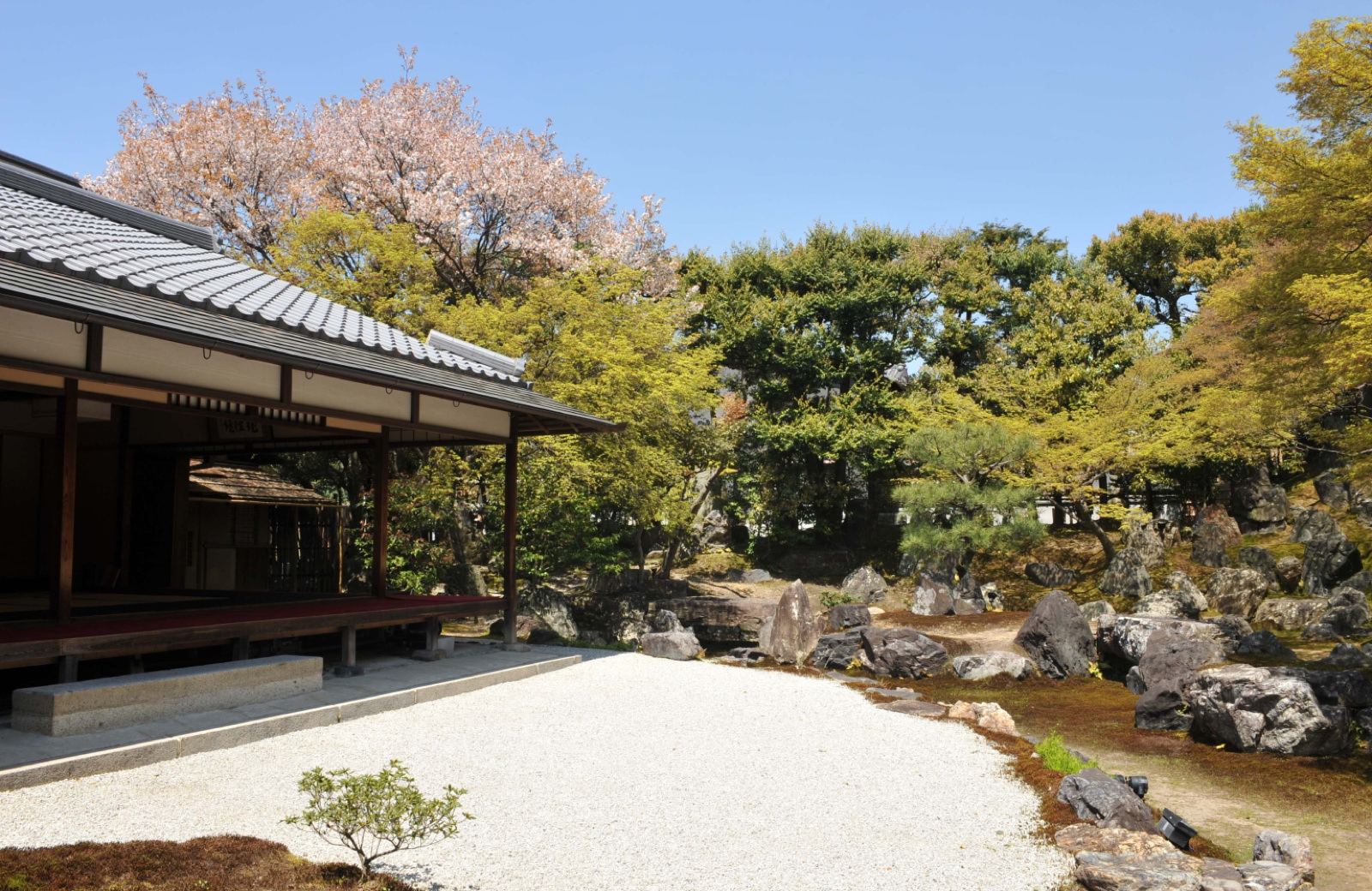 高台寺 塔頭 圓徳院