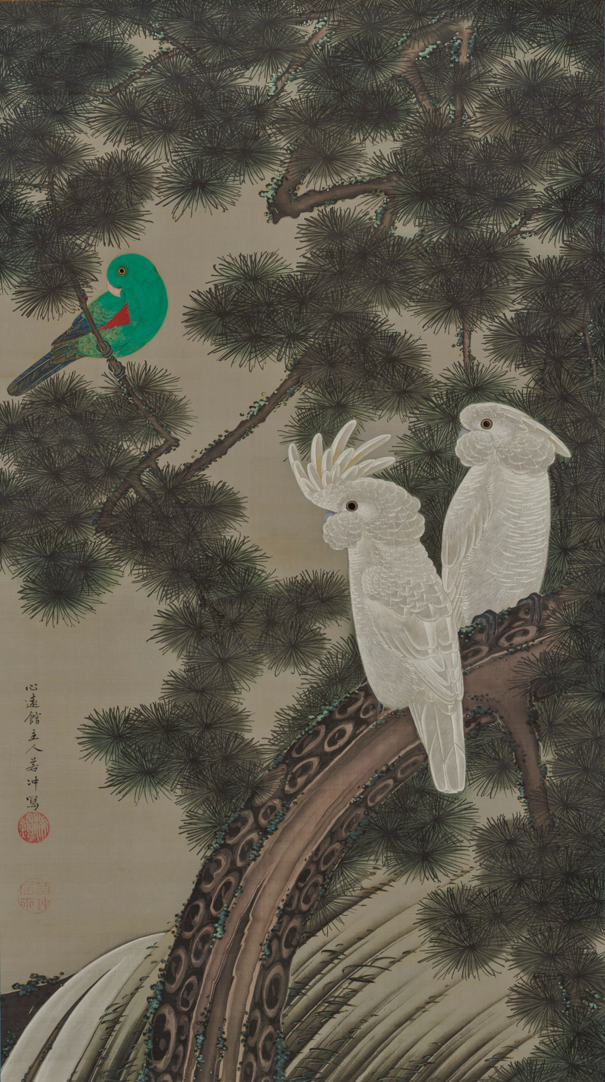 老松鸚鵡図
