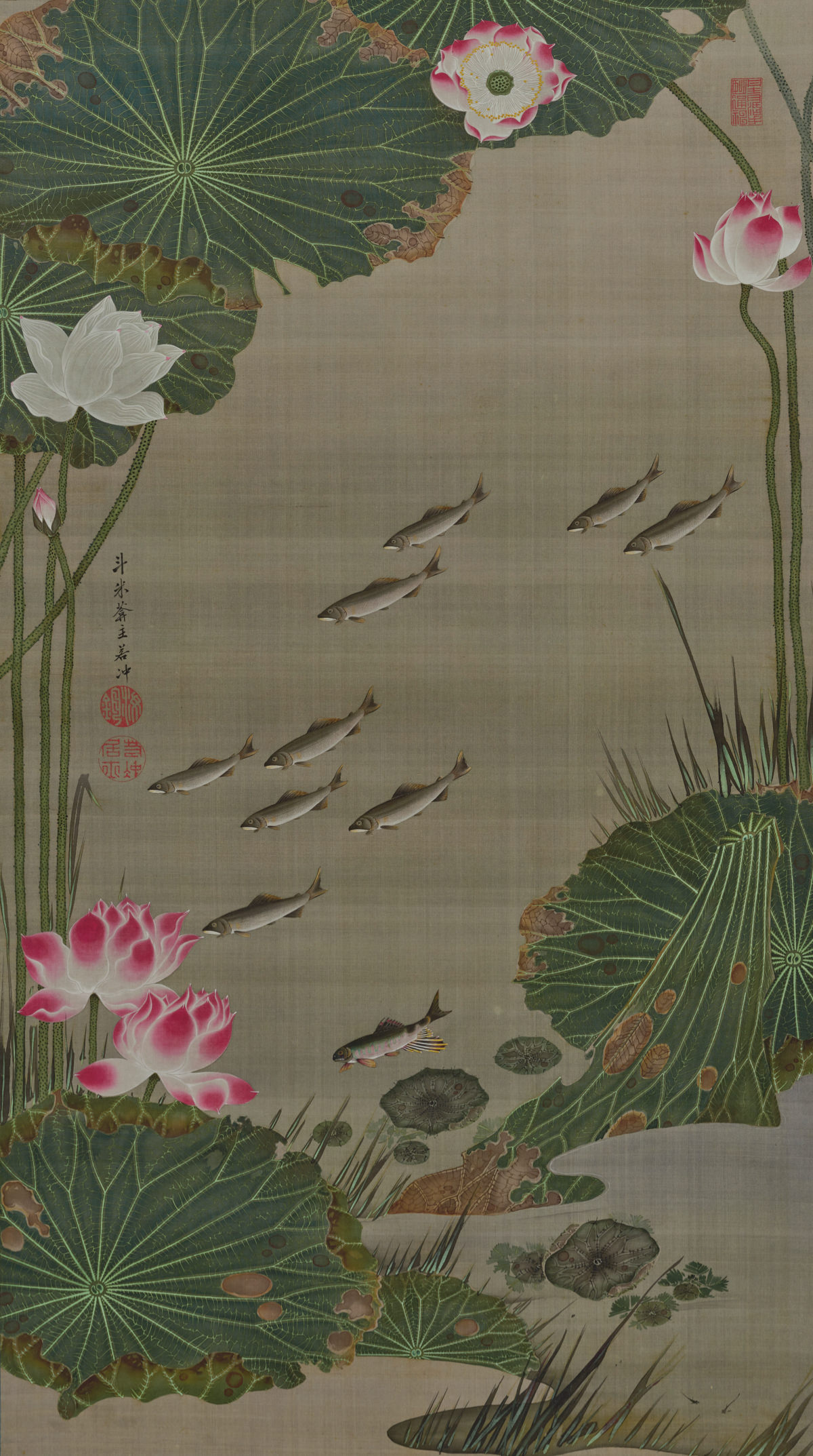 蓮池遊魚図