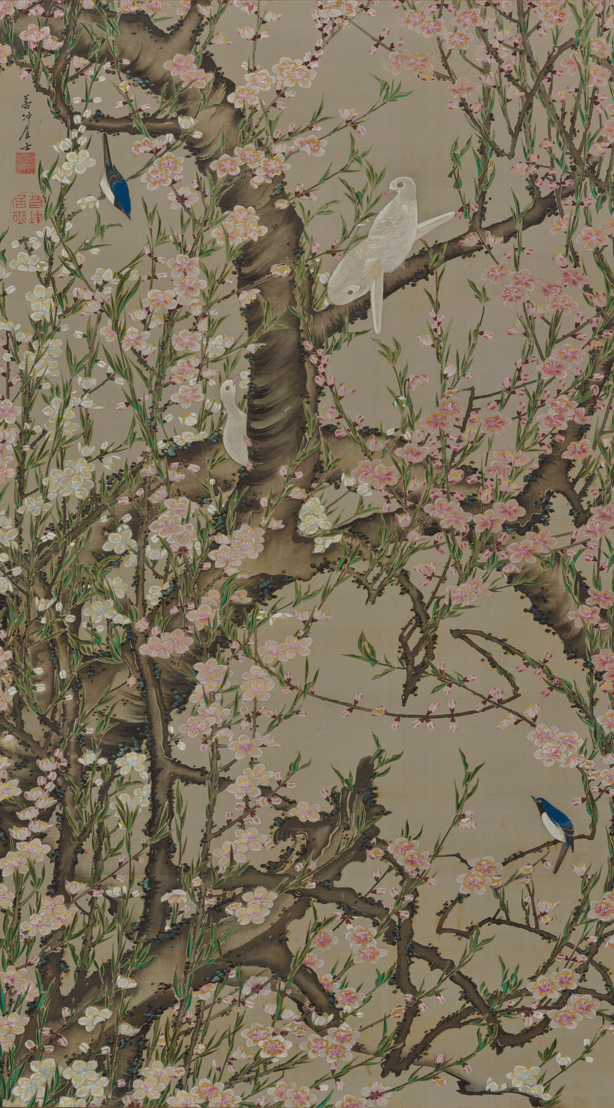 桃花小禽図