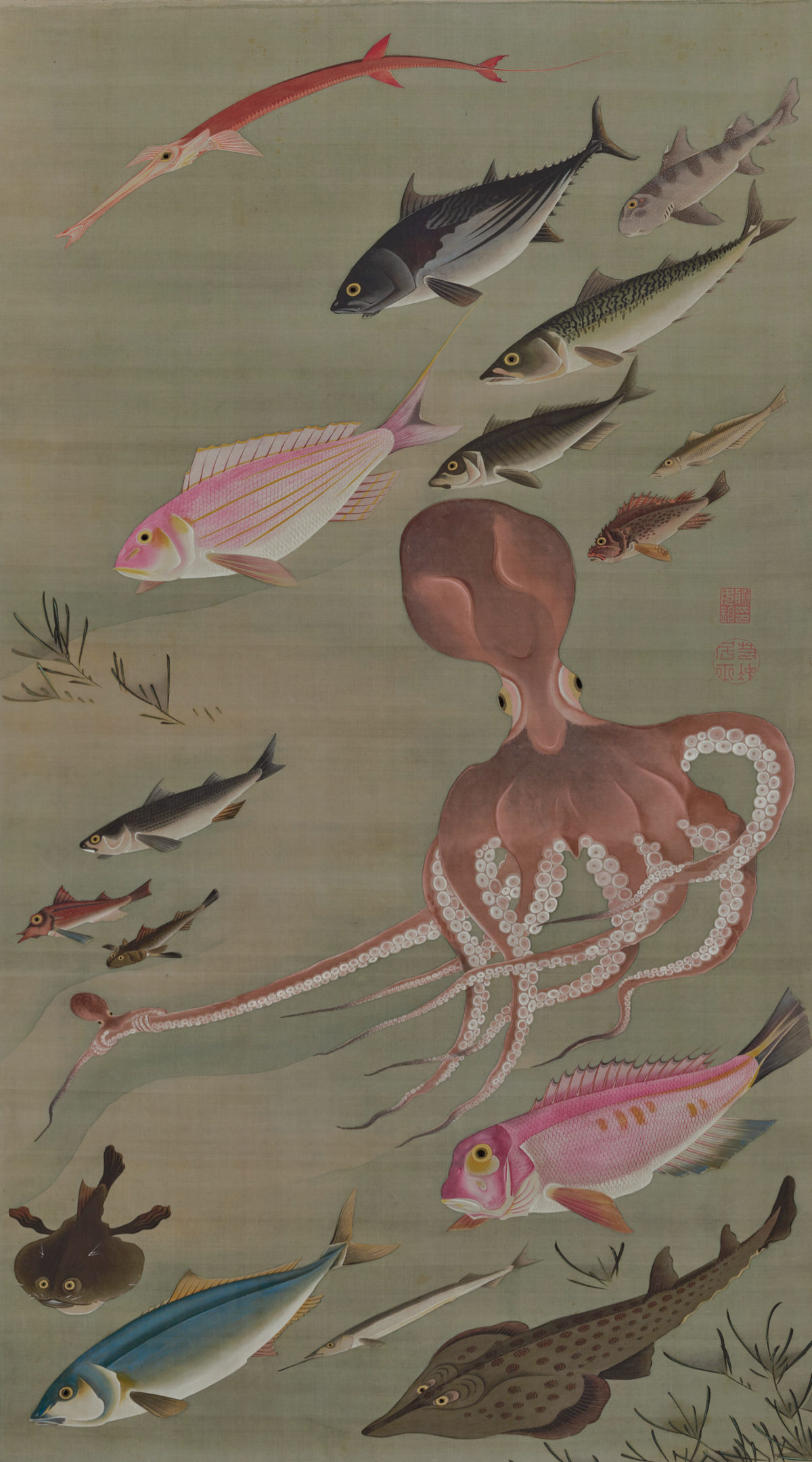 諸魚図