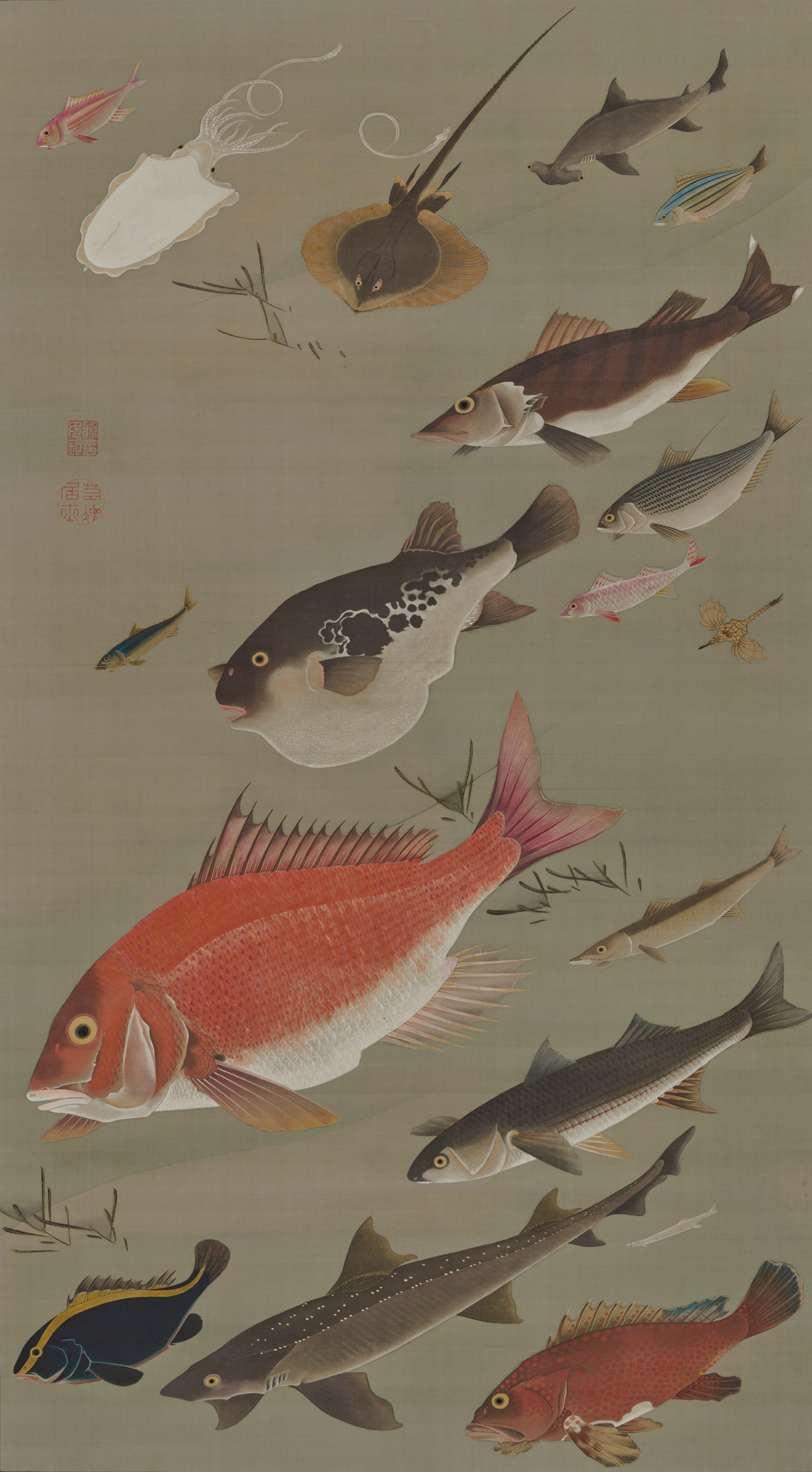 群魚図