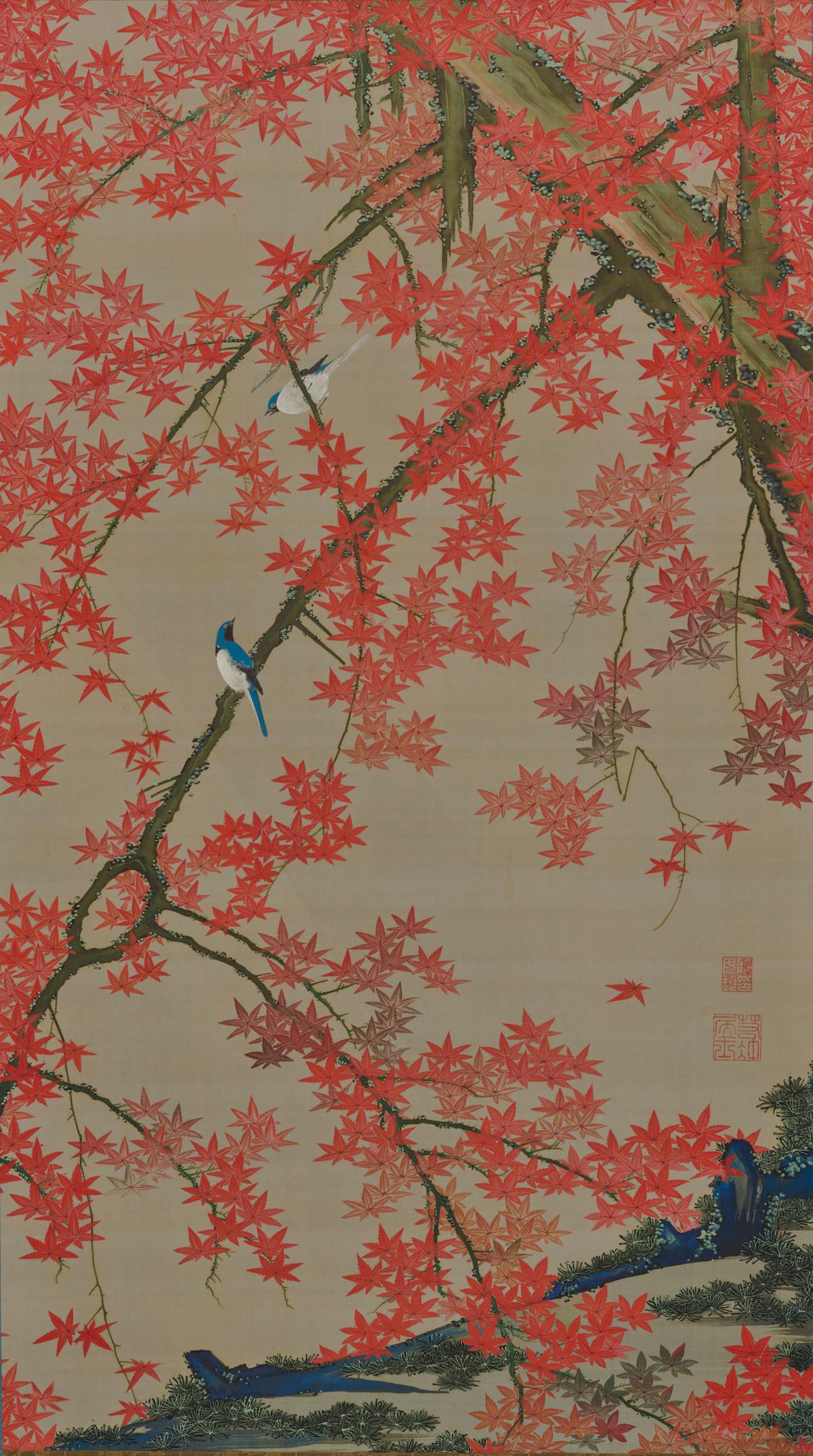紅葉小禽図