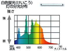 光のスペクトル